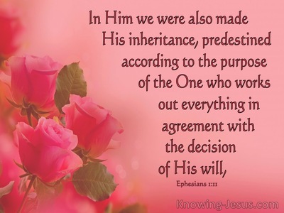 Ephesians 1:11 We Have Obtained An Inheritance, Having Been Predestined According To His Purpose (pink)